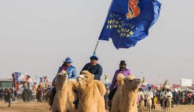 内蒙古：驼文化服务沙产业 打造旅游新品牌