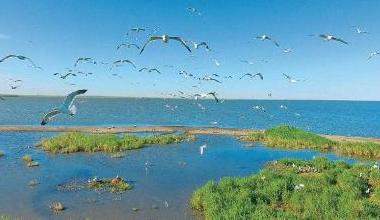 呼伦湖保护区开展“生态保护宣传”活动