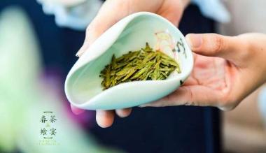 呼和浩特香格里拉开启“春茶飨宴”之旅