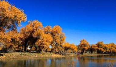内蒙古阿拉善盟胡杨林旅游区被评为国家5A级景区