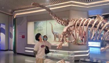 内蒙古自然博物馆恢复开馆