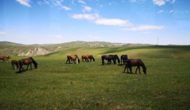 内蒙古安排2.4亿元促进文化和旅游市场繁荣