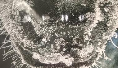 蒙古马精神主题摄影作品展在内蒙古美术馆开展