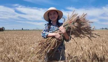 穿越阴山探秘河套!799元当"麦田领主"解锁文旅新玩法