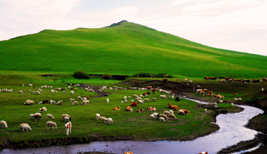 歌游北疆夏至时 踏歌寻迹新左旗融合之路