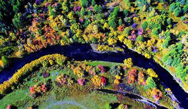 巍巍岭上大兴安 “醉”美梦幻阿尔山