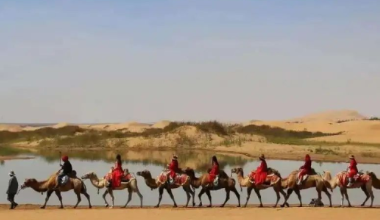 打卡乌海湖沙漠营地