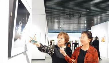 “醉美草原 亮丽北疆”2025年全区美术书法摄影作品展启幕