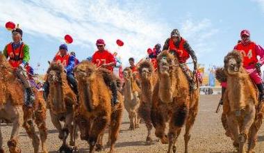 额济纳旗2026年“苍天千峰驼羔”  文化旅游系列活动将启