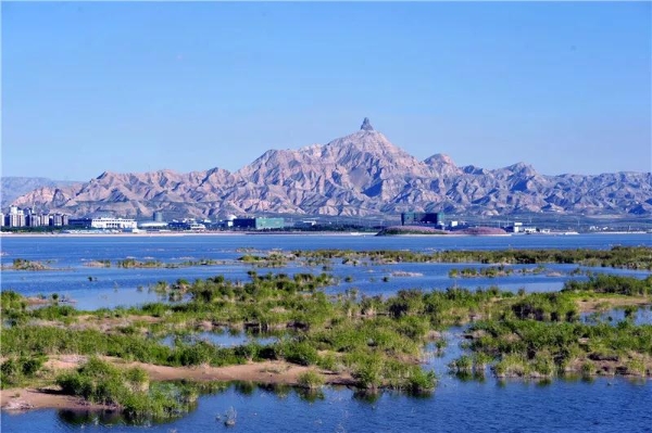 1550496228940036028.jpg s1902112112455156356.jpg