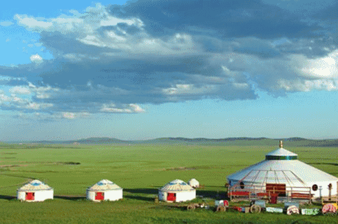 1550542146331014730.gif 微信图片_20190219093502.gif