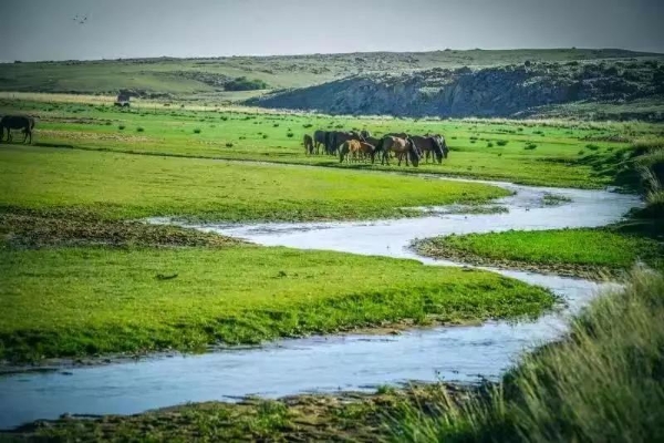 1550557311308003688.jpg s1812121658293901563.jpg