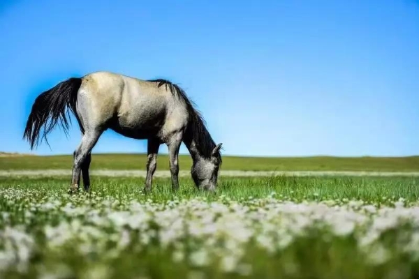 1550557357026062637.jpg s1812121658293796433.jpg