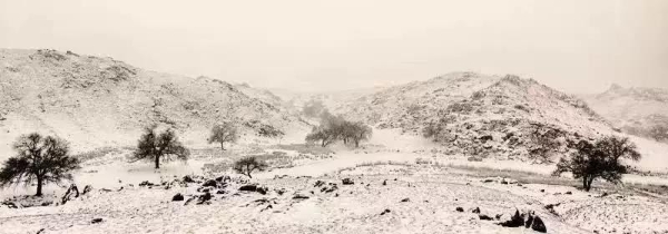 1550557369714073122.jpg s1812121658293698060.jpg