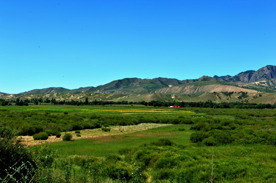 1551590724315084705.jpg 2558889013294362103.jpg