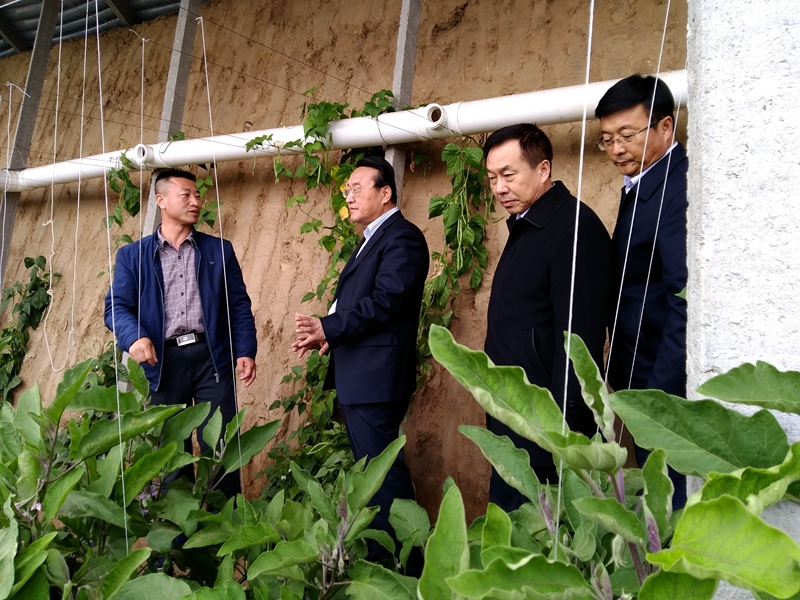 1552303118000074451.jpg 1458789605834.jpg