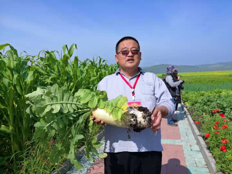 1565711229637050505.jpg 微信图片_201908132147272(1).jpg