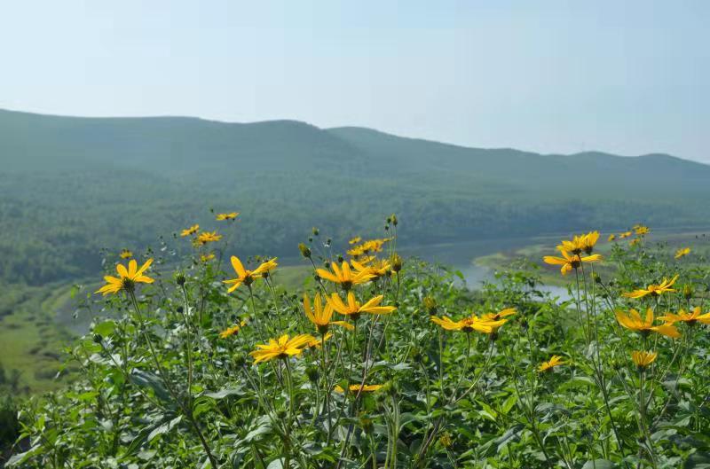 1565711250114078972.jpg 微信图片_201908132338057.jpg