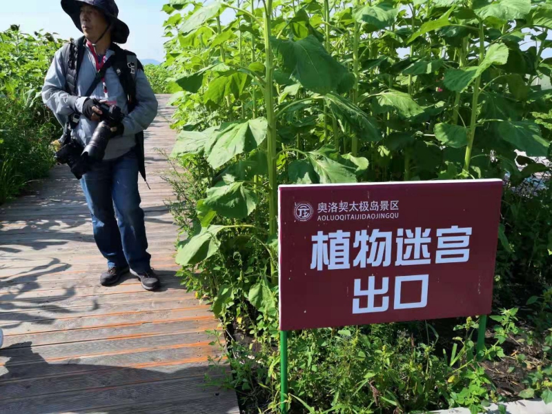 1565711370598057872.jpg 微信图片_201908132147273(1).jpg