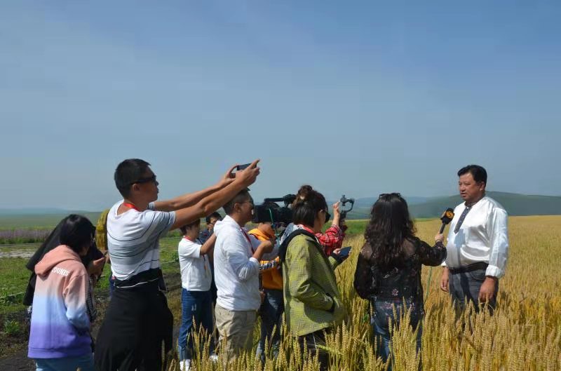 1565712174832082600.jpg 微信图片_20190813233805.jpg