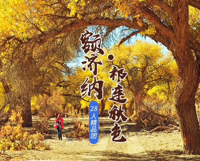 1577330188821066118.jpg 300c160000010kiyx2FAA(1).jpg