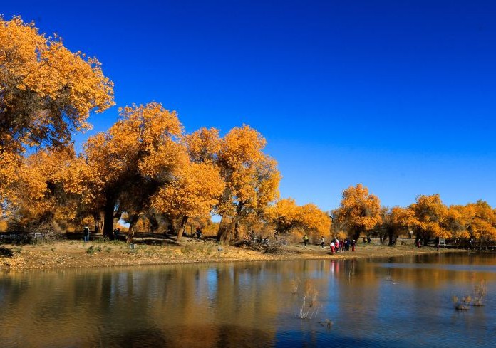 1577330203352058391.jpg Cghzf1WwuxyACGDBAAwliz1HHgk732_D_800_600.jpg