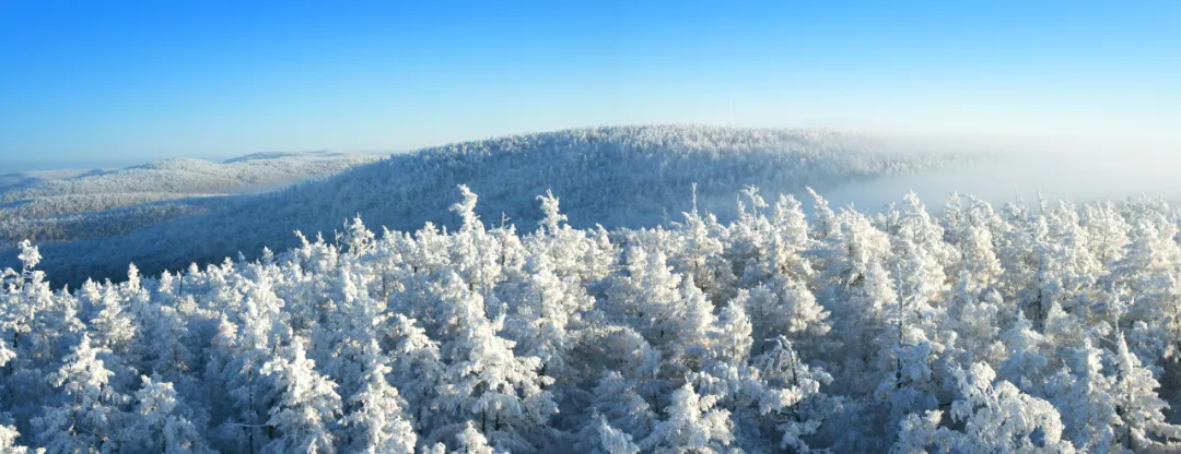 雪岭。曹同国 摄_看图王.jpg