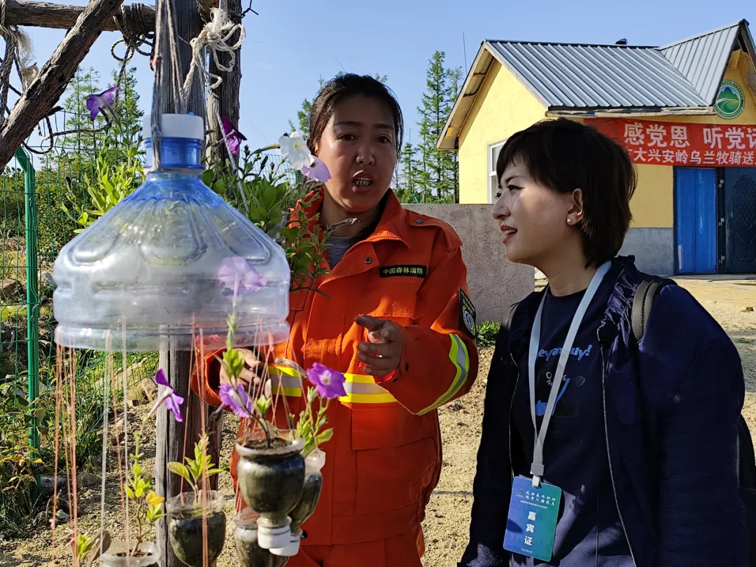 内蒙古广播电视台记者在北部原始林区管护局爬松岭管护瞭望站开展直播报道。包文君 摄_看图王.jpg