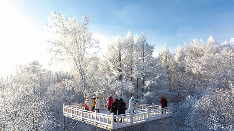 1740643278897069671.jpg 图片4.jpg