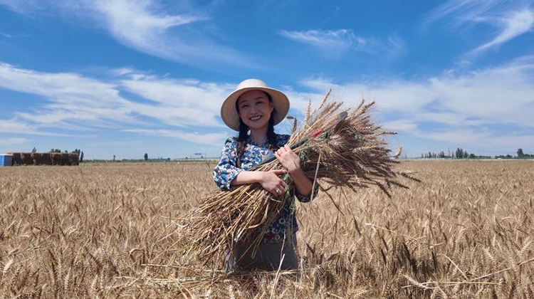 1741942102393084510.jpg 图片1.jpg