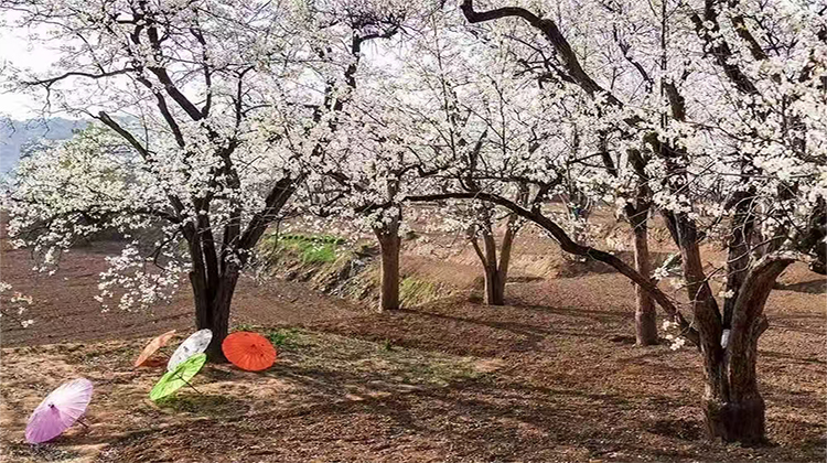 1745221382446091831.jpg 微信图片_20250421153736.jpg