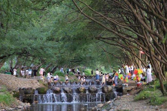 1745294654282060073.jpg a0fdb179-765c-4ec4-a905-4a2877927d39.jpg