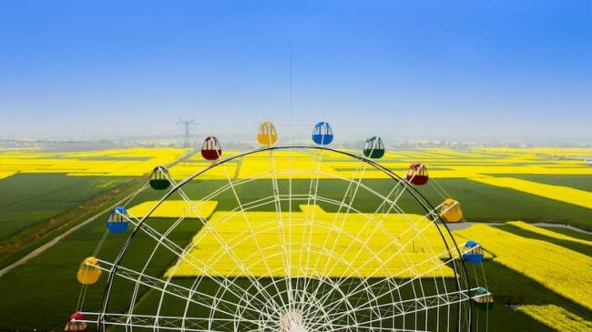 1745294757501029039.jpg d718ed4c-5909-49d5-9534-07e9addd7d0c.jpg