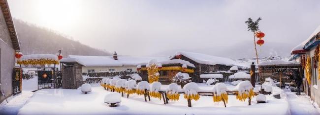 1745295135329014271.jpg 6f36e7ca-42d8-4eb1-92b5-d62e47fb9f02.jpg