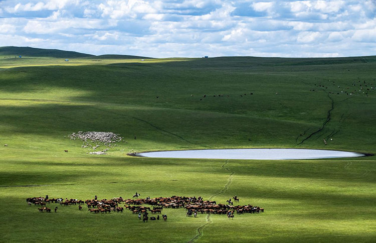 1749864109017017991.png 图片1.png