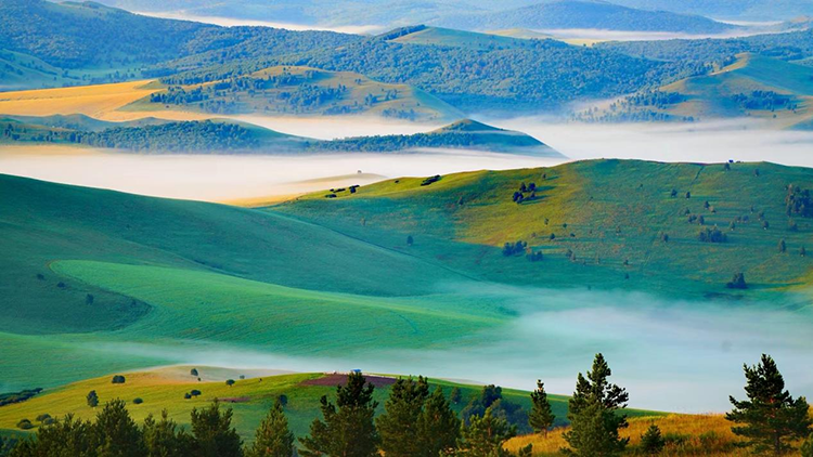 1749864131032059257.png 图片2.png