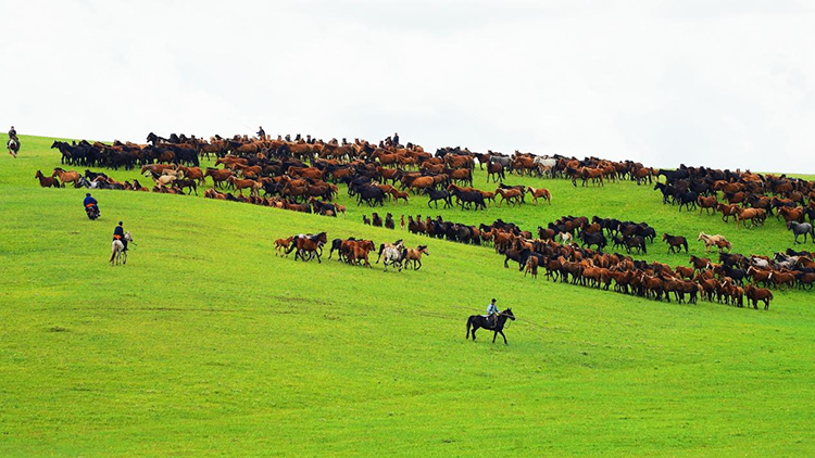 1749864147845047000.png 图片3.png