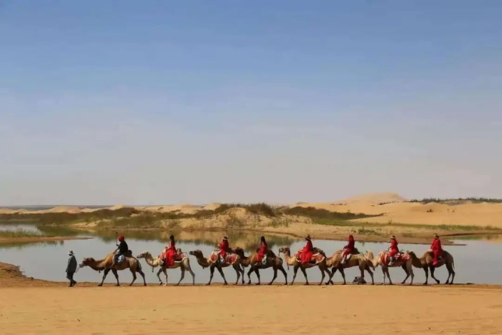 1756561906135052178.png 图片 2.png