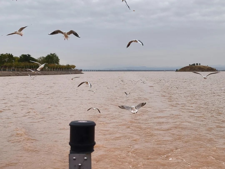 1761009556021002148.png 图片 1.png