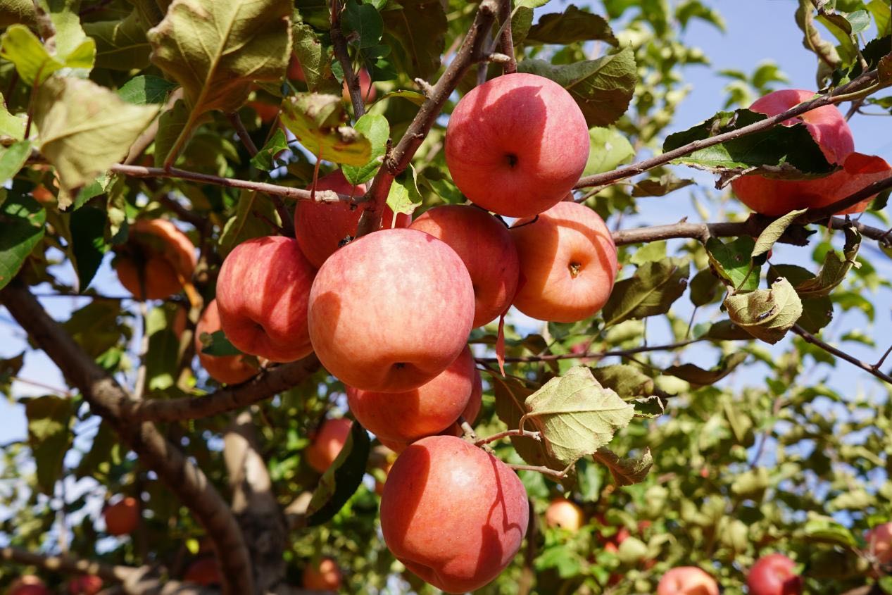 1761097603587006780.jpg 微信图片_20251022055705_21_725.jpg