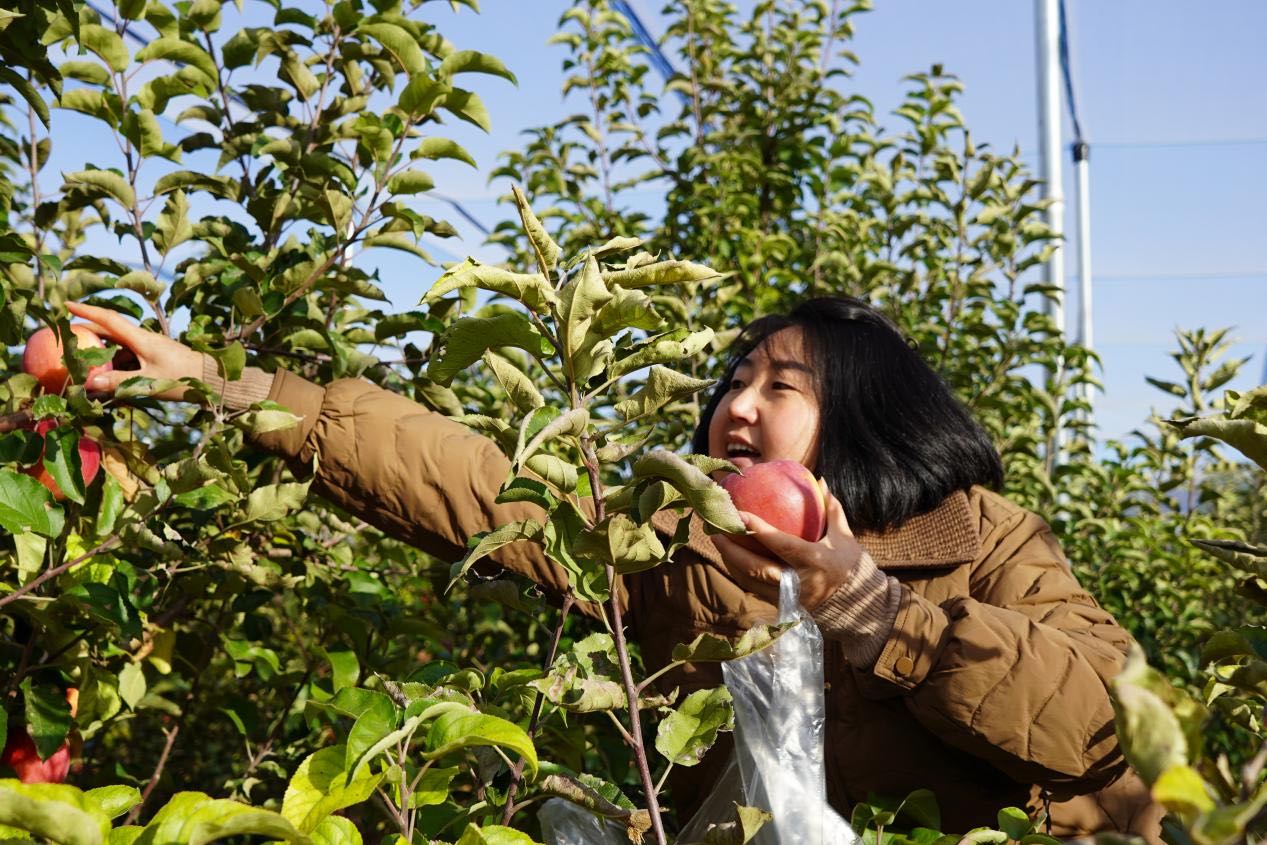 1761097626962069216.jpg 微信图片_20251022055656_20_725.jpg