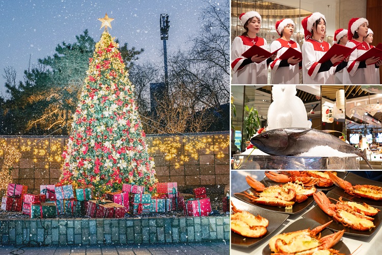 1765179334108156.jpg 微信图片_20251208151004_390_9.jpg