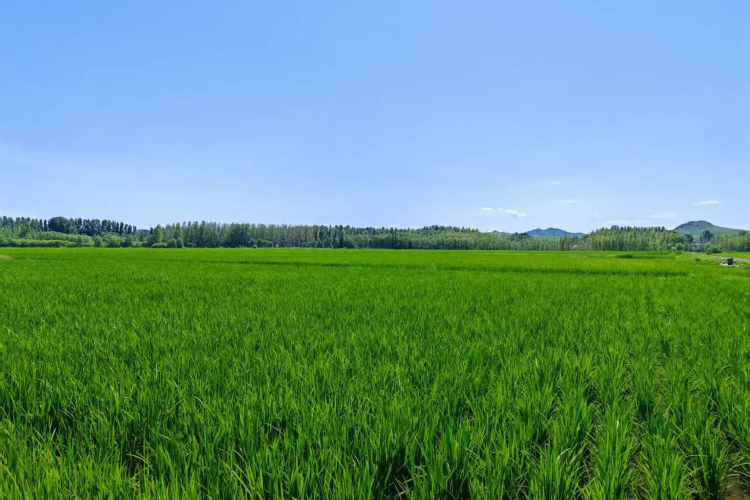 1791969207291090496.png 图片3.png